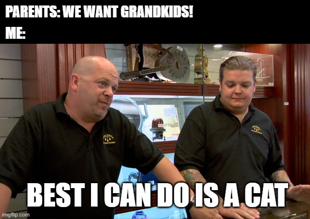 Best I can do is a cat | ME:; PARENTS: WE WANT GRANDKIDS! BEST I CAN DO IS A CAT | image tagged in pawn stars best i can do,cat,parents,pawn stars,pawn | made w/ Imgflip meme maker