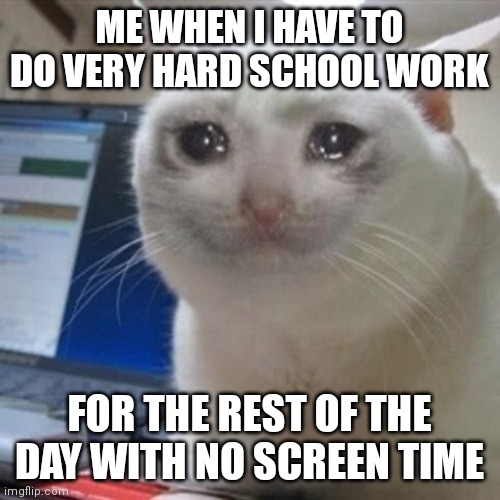 Crying cat | ME WHEN I HAVE TO DO VERY HARD SCHOOL WORK; FOR THE REST OF THE DAY WITH NO SCREEN TIME | image tagged in crying cat | made w/ Imgflip meme maker