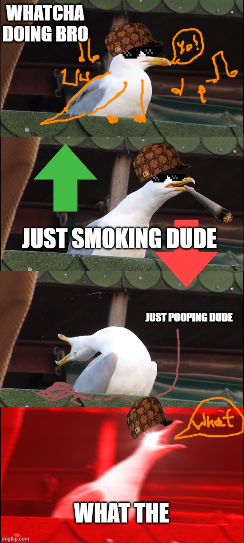 Inhaling Seagull | WHATCHA DOING BRO; JUST SMOKING DUDE; JUST POOPING DUDE; WHAT THE | image tagged in memes,inhaling seagull | made w/ Imgflip meme maker