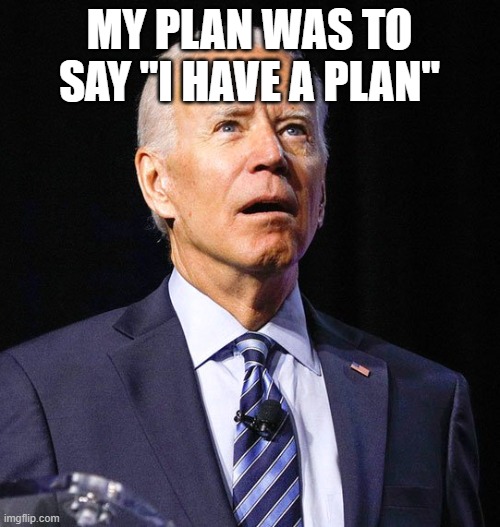 Joe Biden | MY PLAN WAS TO SAY "I HAVE A PLAN" | image tagged in joe biden | made w/ Imgflip meme maker