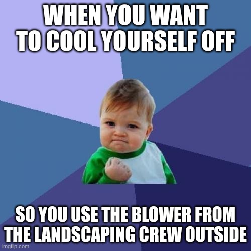 Big Brain Moment | WHEN YOU WANT TO COOL YOURSELF OFF; SO YOU USE THE BLOWER FROM THE LANDSCAPING CREW OUTSIDE | image tagged in memes,success kid | made w/ Imgflip meme maker