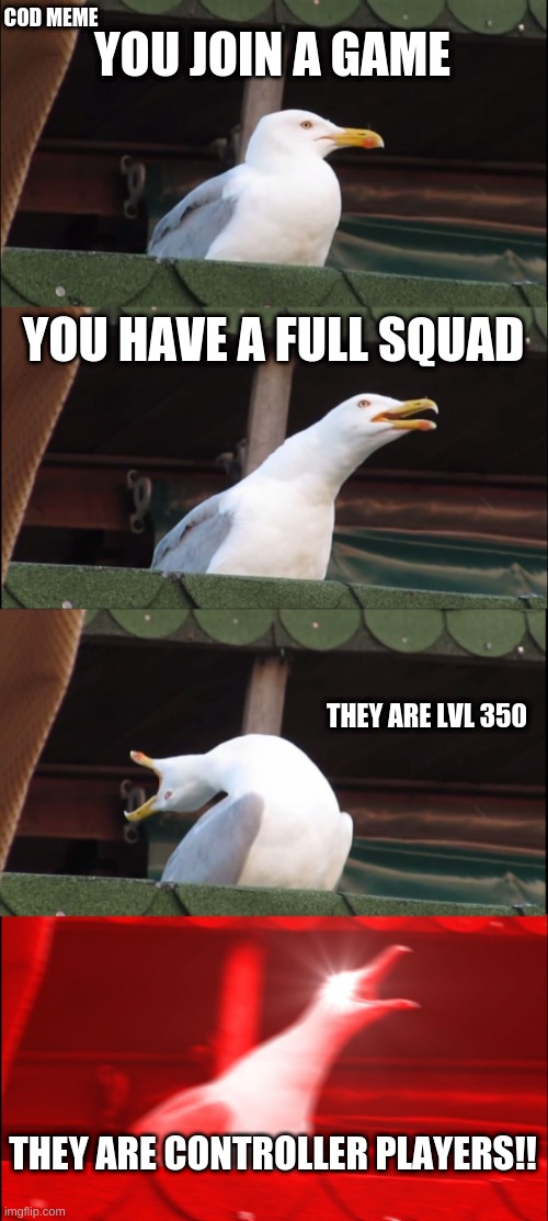 COD meme | COD MEME; YOU JOIN A GAME; YOU HAVE A FULL SQUAD; THEY ARE LVL 350; THEY ARE CONTROLLER PLAYERS!! | image tagged in memes,inhaling seagull,cod,call of duty,gaming | made w/ Imgflip meme maker