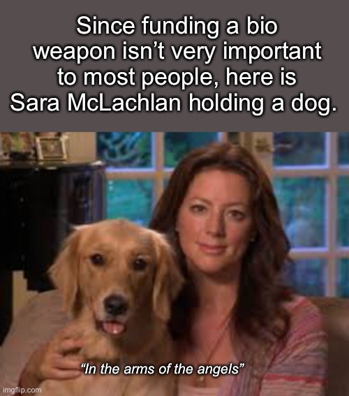For $18 a month, you can keep a dog away from Dr. Fauci | Since funding a bio weapon isn’t very important to most people, here is Sara McLachlan holding a dog. “In the arms of the angels” | image tagged in memes,politics lol,government corruption,dr fauci | made w/ Imgflip meme maker