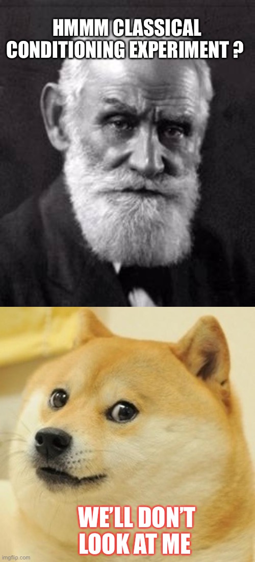 HMMM CLASSICAL CONDITIONING EXPERIMENT ? WE’LL DON’T LOOK AT ME | image tagged in ivan pavlov,memes,doge | made w/ Imgflip meme maker