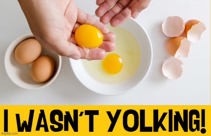 You thought I was trying to be funny... | I WASN'T YOLKING! | image tagged in vince vance,eggs,memes,separating,yokes,whites | made w/ Imgflip meme maker