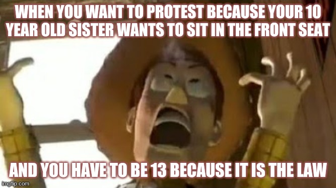 order in the court... | WHEN YOU WANT TO PROTEST BECAUSE YOUR 10 YEAR OLD SISTER WANTS TO SIT IN THE FRONT SEAT; AND YOU HAVE TO BE 13 BECAUSE IT IS THE LAW | image tagged in funny meme,relatable | made w/ Imgflip meme maker