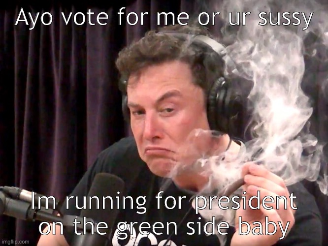 Elon Musk Weed | Ayo vote for me or ur sussy; Im running for president on the green side baby | image tagged in elon musk weed | made w/ Imgflip meme maker