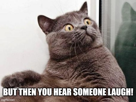 Surprised cat | BUT THEN YOU HEAR SOMEONE LAUGH! | image tagged in surprised cat | made w/ Imgflip meme maker