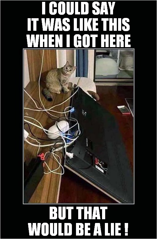 No Regrets From This Cat ! | I COULD SAY IT WAS LIKE THIS WHEN I GOT HERE; BUT THAT WOULD BE A LIE ! | image tagged in cats,tv,destruction | made w/ Imgflip meme maker