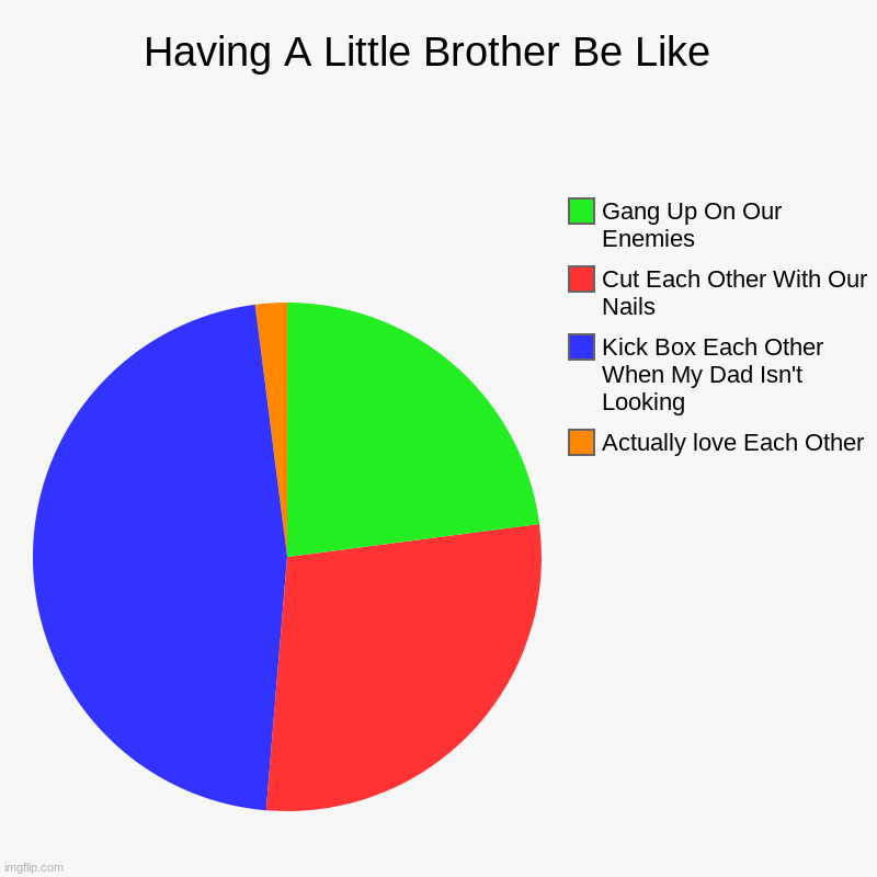 Sory Of My Life | Having A Little Brother Be Like  | Actually love Each Other, Kick Box Each Other When My Dad Isn't Looking , Cut Each Other With Our Nails , | image tagged in charts,pie charts | made w/ Imgflip chart maker