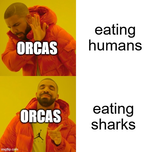 Drake Hotline Bling Meme | eating humans; ORCAS; eating sharks; ORCAS | image tagged in memes,drake hotline bling | made w/ Imgflip meme maker