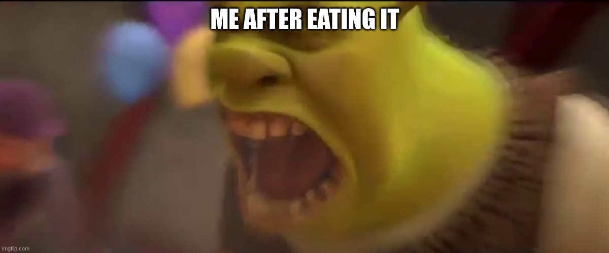 Shrek Screaming | ME AFTER EATING IT | image tagged in shrek screaming | made w/ Imgflip meme maker