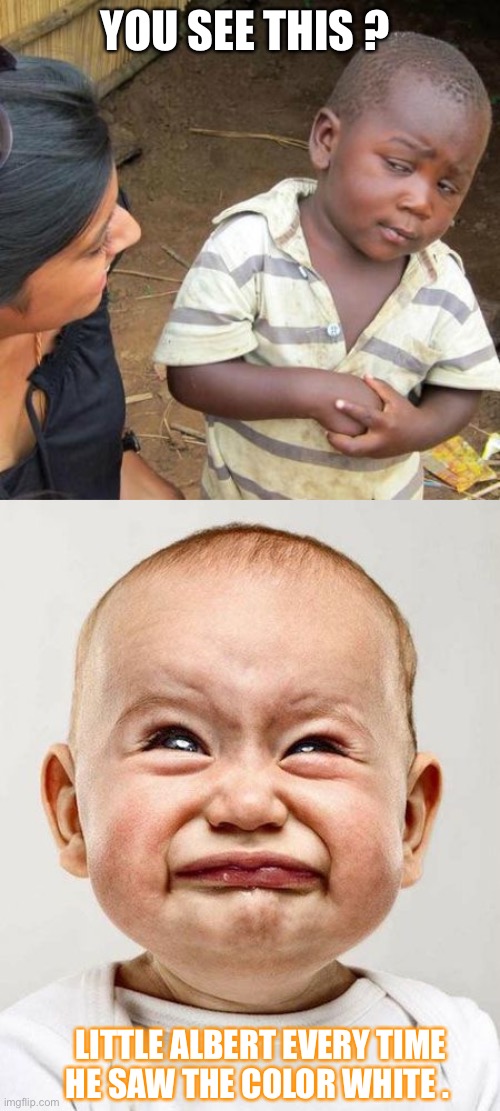 YOU SEE THIS ? LITTLE ALBERT EVERY TIME HE SAW THE COLOR WHITE . | image tagged in memes,third world skeptical kid,cryingbaby | made w/ Imgflip meme maker