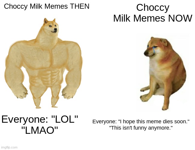 *Choccy Milk Dies* | Choccy Milk Memes THEN; Choccy Milk Memes NOW; Everyone: "LOL"
"LMAO"; Everyone: "I hope this meme dies soon."
"This isn't funny anymore." | image tagged in memes,buff doge vs cheems,choccy milk | made w/ Imgflip meme maker