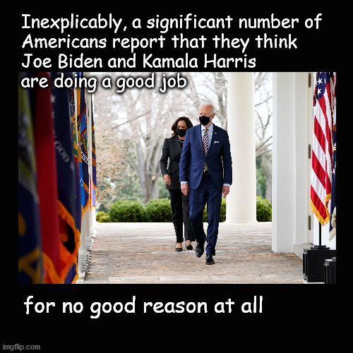 Joe Biden and Kamala Harris  are doing a good job | Inexplicably, a significant number of 
Americans report that they think
Joe Biden and Kamala Harris 
are doing a good job; for no good reason at all | image tagged in biden,harris,polls | made w/ Imgflip meme maker