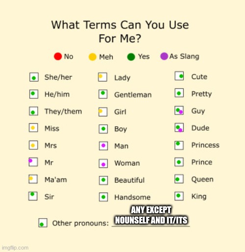 Pronouns Sheet | ANY EXCEPT NOUNSELF AND IT/ITS | image tagged in pronouns sheet | made w/ Imgflip meme maker