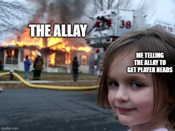 Disaster Girl | THE ALLAY; ME TELLING THE ALLAY TO GET PLAYER HEADS | image tagged in memes,disaster girl,minecraft memes | made w/ Imgflip meme maker