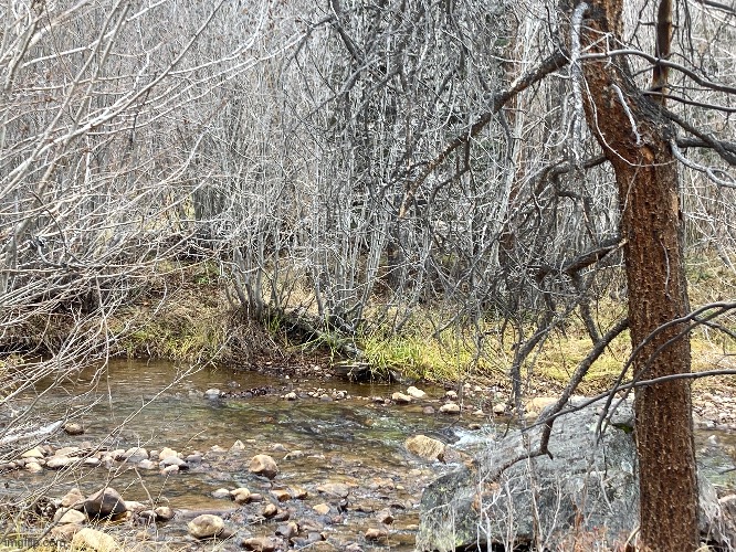 The place I stayed over the weekend. (I was in a cabin) | made w/ Imgflip meme maker