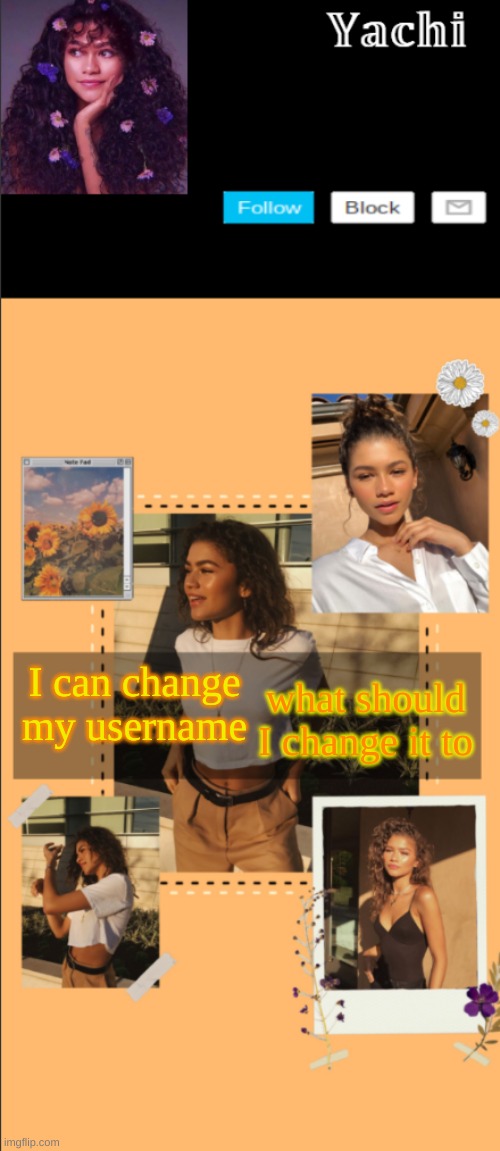 Yachi's zendaya temp | what should I change it to; I can change my username | image tagged in yachi's zendaya temp | made w/ Imgflip meme maker