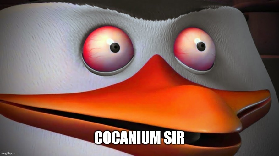 red eyes penguin skipper | COCANIUM SIR | image tagged in red eyes penguin skipper | made w/ Imgflip meme maker