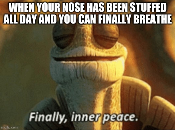 me rn :( | WHEN YOUR NOSE HAS BEEN STUFFED ALL DAY AND YOU CAN FINALLY BREATHE | image tagged in finally inner peace | made w/ Imgflip meme maker