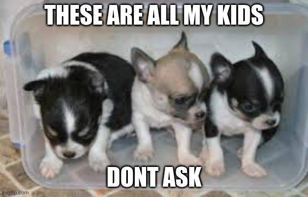 dont sk | THESE ARE ALL MY KIDS; DONT ASK | image tagged in silly,funny | made w/ Imgflip meme maker