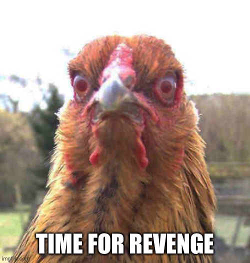 revenge chicken | TIME FOR REVENGE | image tagged in revenge chicken | made w/ Imgflip meme maker