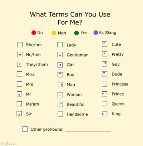 ayy | image tagged in pronouns sheet | made w/ Imgflip meme maker