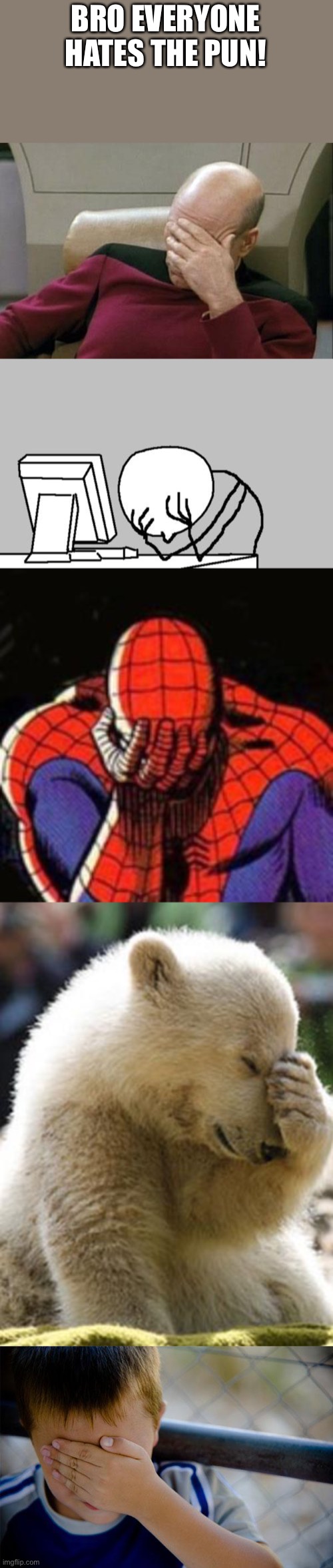 BRO EVERYONE HATES THE PUN! | image tagged in memes,captain picard facepalm,computer guy facepalm,sad spiderman,facepalm bear,confession kid | made w/ Imgflip meme maker