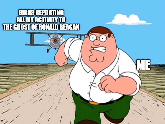 Not Real | BIRDS REPORTING ALL MY ACTIVITY TO THE GHOST OF RONALD REAGAN; ME | image tagged in peter griffin running away | made w/ Imgflip meme maker