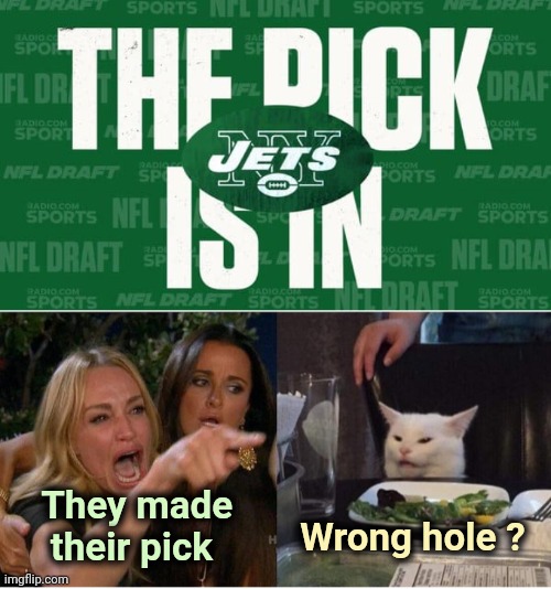 Don't ever bet on the Jets |  Wrong hole ? They made
    their pick | image tagged in memes,woman yelling at cat,the gambler,just do it,im about to end this mans whole career | made w/ Imgflip meme maker