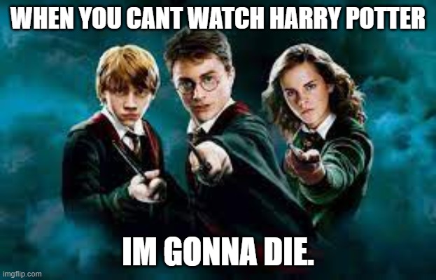 WHEN YOU CANT WATCH HARRY POTTER; IM GONNA DIE. | image tagged in harry potter | made w/ Imgflip meme maker
