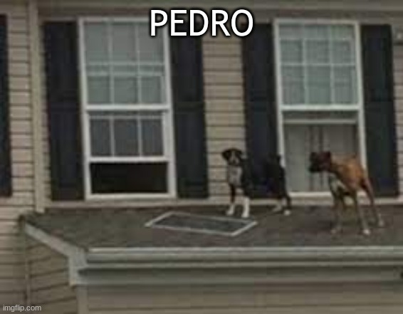 Pedro | PEDRO | image tagged in pedro | made w/ Imgflip meme maker