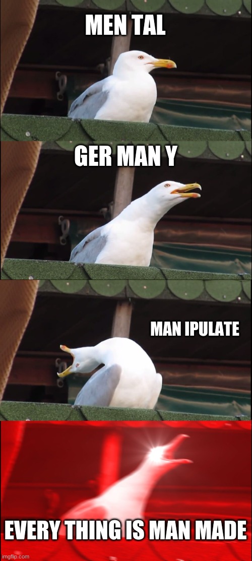 feminist |  MEN TAL; GER MAN Y; MAN IPULATE; EVERY THING IS MAN MADE | image tagged in memes,inhaling seagull,feminist | made w/ Imgflip meme maker
