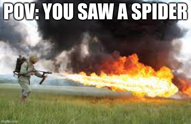 POV: You Saw A Spider |  POV: YOU SAW A SPIDER | image tagged in pov,spider,flamethrower | made w/ Imgflip meme maker