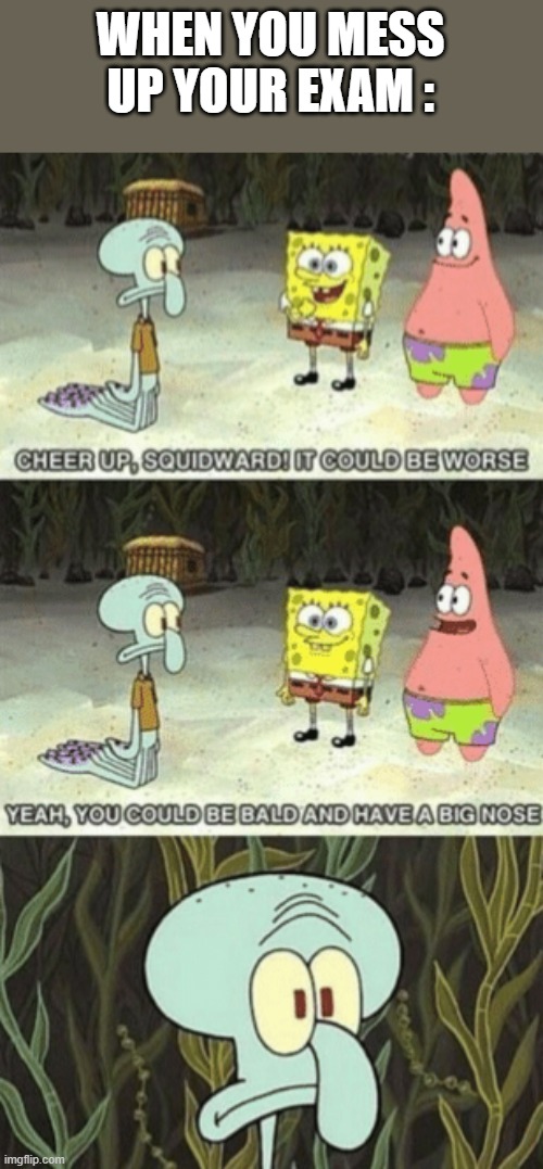 Squidward it could be worse | WHEN YOU MESS UP YOUR EXAM : | image tagged in squidward it could be worse | made w/ Imgflip meme maker