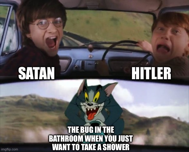 They always ruin it. | HITLER; SATAN; THE BUG IN THE BATHROOM WHEN YOU JUST WANT TO TAKE A SHOWER | image tagged in tom chasing harry and ron weasly | made w/ Imgflip meme maker