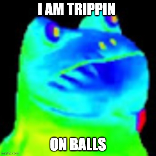 Fun factz with frog | I AM TRIPPIN; ON BALLS | image tagged in trippin on acid | made w/ Imgflip meme maker