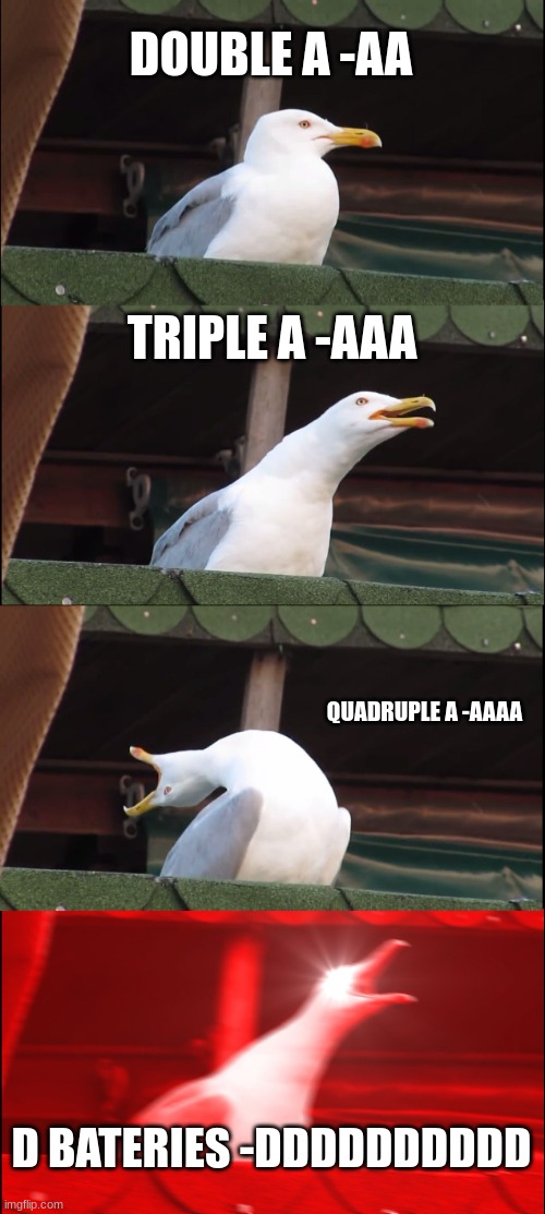 Inhaling Seagull | DOUBLE A -AA; TRIPLE A -AAA; QUADRUPLE A -AAAA; D BATERIES -DDDDDDDDDD | image tagged in memes,inhaling seagull | made w/ Imgflip meme maker
