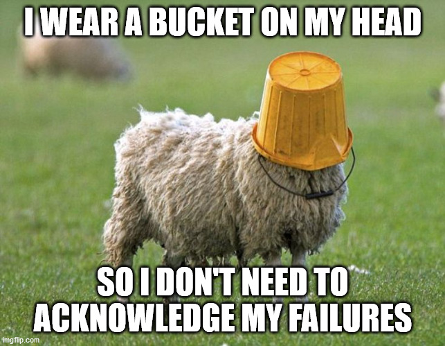 I wear a Bucket so I don't see my Failures | I WEAR A BUCKET ON MY HEAD; SO I DON'T NEED TO ACKNOWLEDGE MY FAILURES | image tagged in sheep bucket head | made w/ Imgflip meme maker