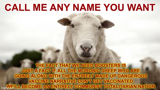 Sheep | CALL ME ANY NAME YOU WANT THE FACT THAT WE NEED BOOSTERS IS JUST A FACT IF ALL THE MORONIC SHEEP WHO ARE GOING ALONG WITH THE ENTIRELY MADE  | image tagged in sheep | made w/ Imgflip meme maker