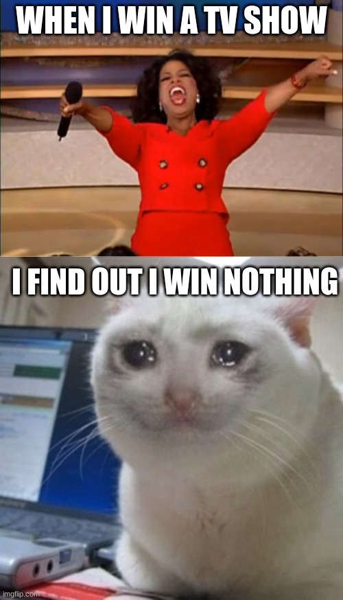sad game | WHEN I WIN A TV SHOW; I FIND OUT I WIN NOTHING | image tagged in memes,oprah you get a,crying cat | made w/ Imgflip meme maker