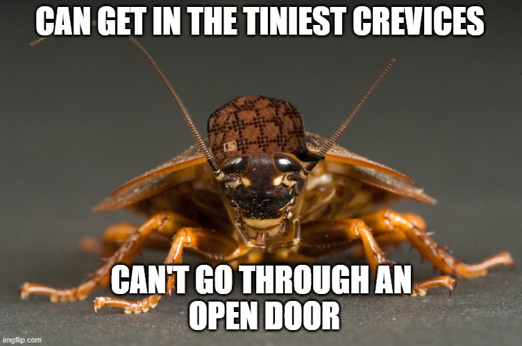 Cockroach | CAN GET IN THE TINIEST CREVICES; CAN'T GO THROUGH AN
 OPEN DOOR | image tagged in cockroach | made w/ Imgflip meme maker