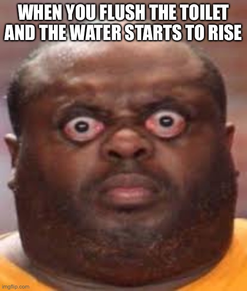 uh oh | WHEN YOU FLUSH THE TOILET AND THE WATER STARTS TO RISE | image tagged in uh oh | made w/ Imgflip meme maker