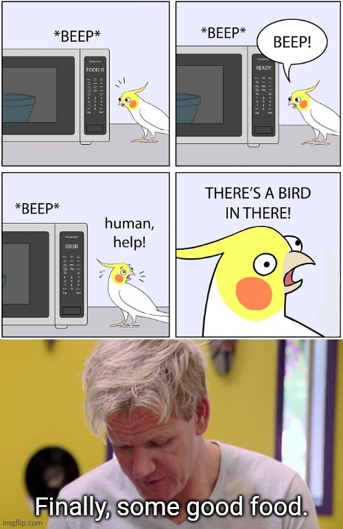 Food | Finally, some good food. | image tagged in finally some good food,microwave,birds,memes,bird,comics/cartoons | made w/ Imgflip meme maker