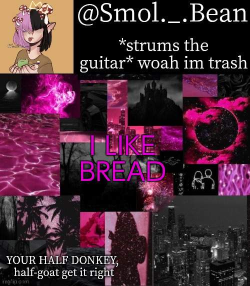 AhhhhhhhHHHHHH | I LIKE BREAD | image tagged in beans pink and balck temp | made w/ Imgflip meme maker