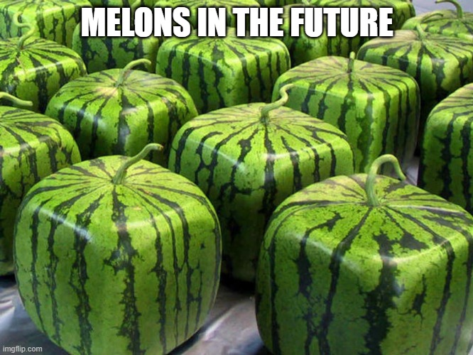 melons :D | MELONS IN THE FUTURE | image tagged in minecraft melons | made w/ Imgflip meme maker