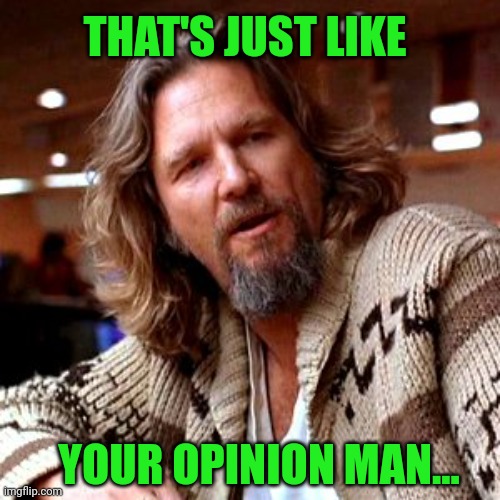 That's just, like, your opinion, man | YOUR OPINION MAN... THAT'S JUST LIKE | image tagged in that's just like your opinion man | made w/ Imgflip meme maker