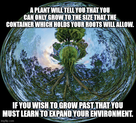 JD26 | A PLANT WILL TELL YOU THAT YOU CAN ONLY GROW TO THE SIZE THAT THE CONTAINER WHICH HOLDS YOUR ROOTS WILL ALLOW. IF YOU WISH TO GROW PAST THAT YOU MUST LEARN TO EXPAND YOUR ENVIRONMENT. | image tagged in philosophy | made w/ Imgflip meme maker