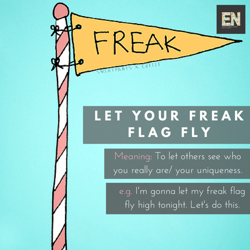 Let Your Freak Flag Fly Blank Template - Imgflip